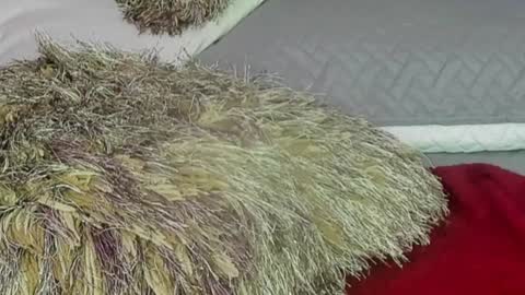 Snapshot of naomy_smithx chatting on 12.13.24 Naomy Smith online show from 12.13.24