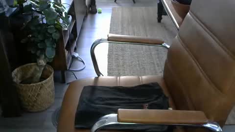 nareth338 online show from 10.30.25