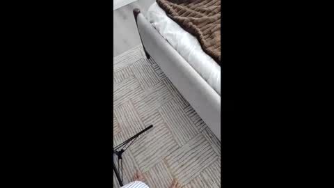 Snapshot of nastyluv143 chatting on 11.17.25 Asian Milf Show online show from 11.17.25