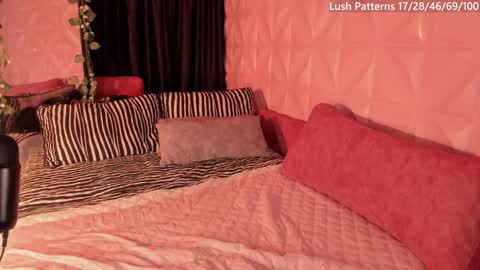 Nata online show from 12.02.24