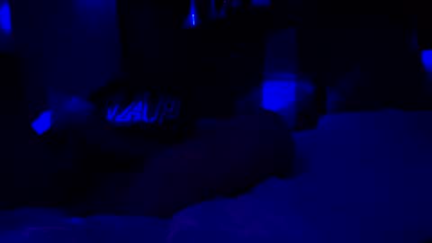 Haven online show from 01.08.26