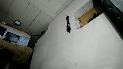 natalia online show from 06.23.26
