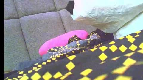 Jasmin online show from 01.19.26