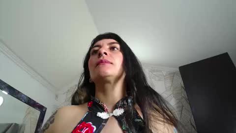 Kitten online show from 12.22.25