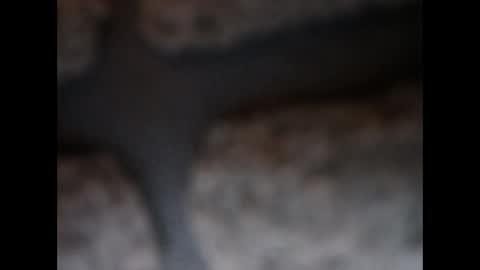 Snapshot of naughtypanties123 chatting on 03.11.26 naughtypanties123 online show from 03.11.26