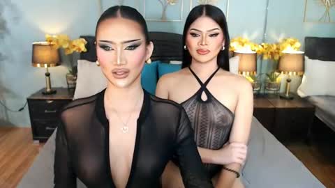 F R A N Z I A online show from 06.12.26