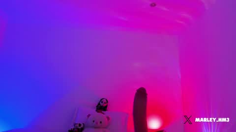 Snapshot of nelav0 chatting on 12.14.25 xd online show from 12.14.25