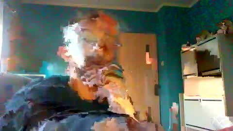 Snapshot of neverland966 chatting on 02.08.25 Mark online show from 02.08.25