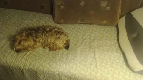 Snapshot of new_milf chatting on 10.22.25 Lilly online show from 10.22.25