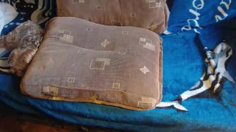 Snapshot of new_milf chatting on 02.17.26 Lilly online show from 02.17.26