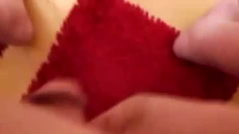 Snapshot of newbookwriter chatting on 12.08.24 BookWriter online show from 12.08.24