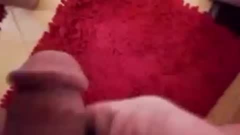 Snapshot of newbookwriter chatting on 12.12.24 BookWriter online show from 12.12.24