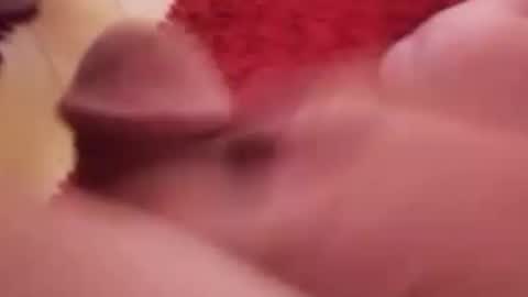 Snapshot of newbookwriter chatting on 01.14.25 BookWriter online show from 01.14.25