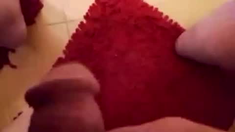 Snapshot of newbookwriter chatting on 02.01.25 BookWriter online show from 02.01.25