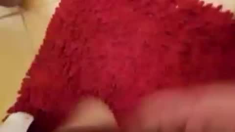 Snapshot of newbookwriter chatting on 09.14.25 BookWriter online show from 09.14.25