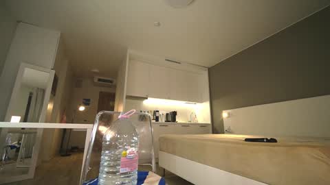 Nica online show from 12.04.24