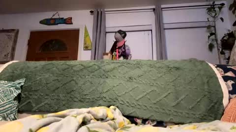 niced4fun online show from 07.23.26
