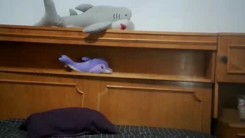 Nicholle online show from 07.01.26