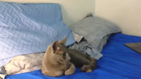 Nicolas              online show from 12.19.24