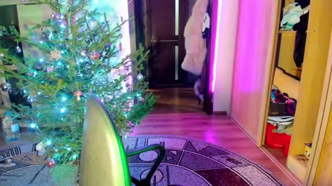 Nicky Weekends online show from 01.14.25