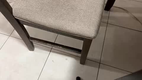 Carlos Nico online show from 03.05.26