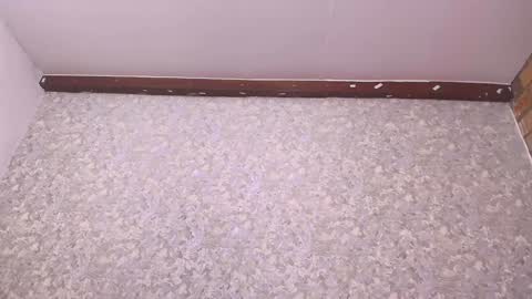 Nicol online show from 12.27.24