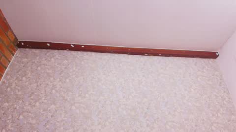 Nicol online show from 12.28.24