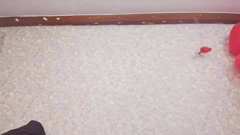 Nicol online show from 02.15.25