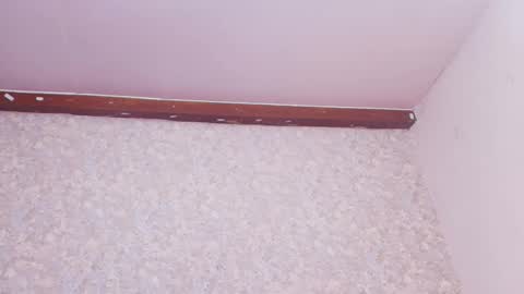 Nicol online show from 03.10.25