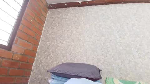 Nicol online show from 10.08.25