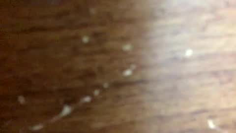 Snapshot of nightmoves1970 chatting on 11.20.25 nightmoves1970 online show from 11.20.25