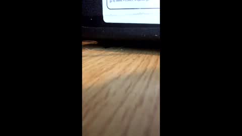 Snapshot of nightmoves1970 chatting on 12.02.25 nightmoves1970 online show from 12.02.25