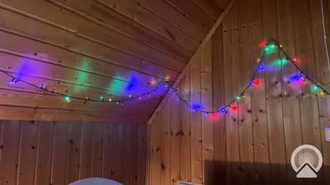 Nick online show from 12.12.24