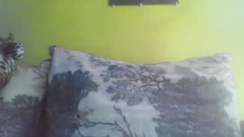 niki303424 online show from 03.02.26