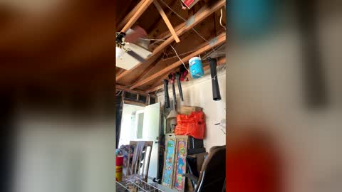 Nikkie online show from 04.03.26