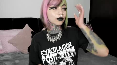 Snapshot of nikkiramone chatting on 01.23.25 Nikki Ramone online show from 01.23.25