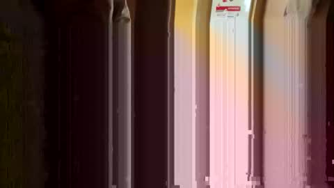 Snapshot of nikolay3838 chatting on 03.11.26 Nikolay online show from 03.11.26