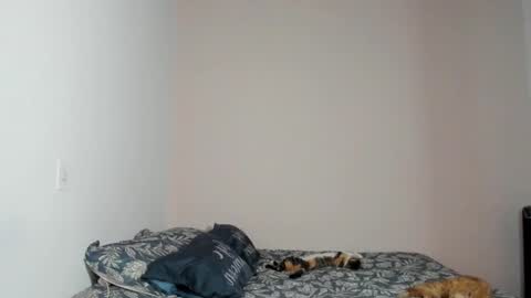  Nina  online show from 11.22.25