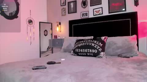 Alisson online show from 02.08.26