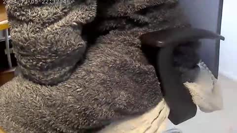 nineinchhard online show from 12.04.24