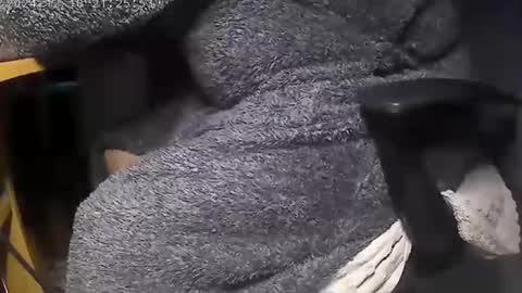 nineinchhard online show from 12.09.24