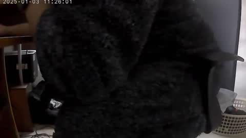 nineinchhard online show from 01.03.25