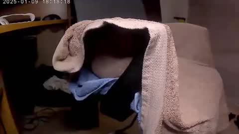 nineinchhard online show from 01.09.25