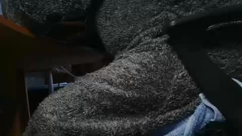 nineinchhard online show from 01.23.25