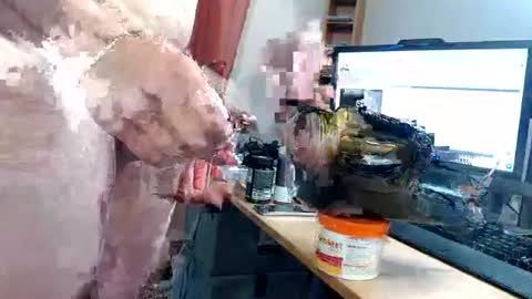 ninetynine_99 online show from 06.17.26