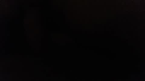 Ninjadance online show from 12.02.24