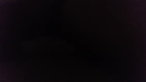 Ninjadance online show from 12.27.24