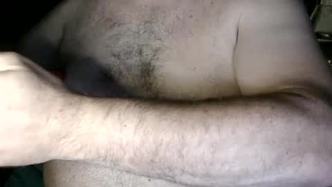 Nip Fun Bear online show from 09.25.25
