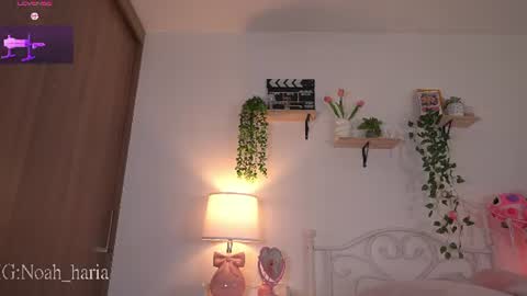 noah__23 online show from 06.20.26