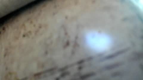 Noah online show from 01.29.25